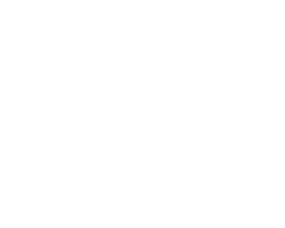 AlohAlly Logo